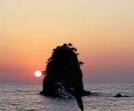 �����ϸ�